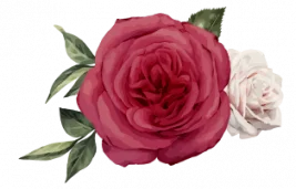 image of roses